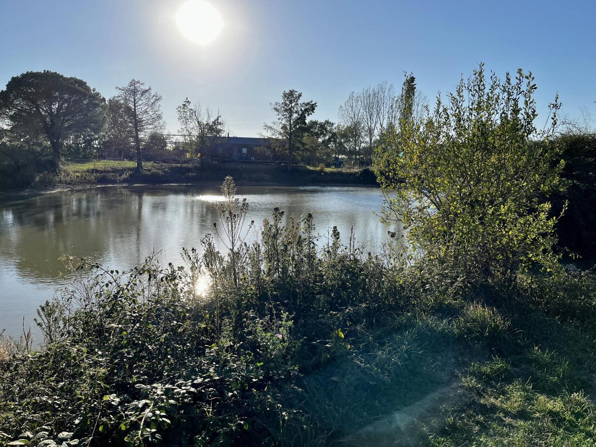 エギュイヨン Le Parc De Goutsヴィラ エクステリア 写真